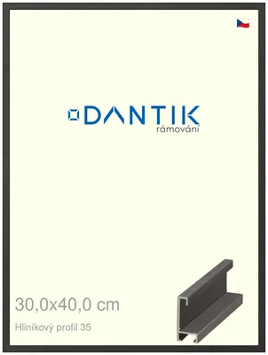 Obrázek produktu pro DANTIK rámeček 30x40 | ALU profil 6035 Dýha černá (Plexi Čiré)