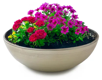 Image de Jardinière pour l'extérieur Jardinière décorative ronde champagne beige 20 cm