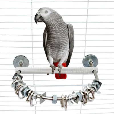 Productafbeelding van Roestvrijstalen Vogelstok met Kauwspeelgoed voor Papegaaien