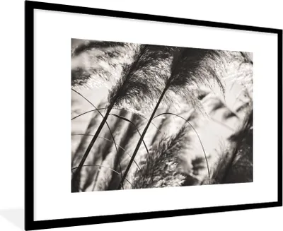 Produktbild von MuchoWow® Gerahmtes Poster Pampasgras - Schwarz - Weiß - Pflanze 90x60 cm - Poster mit Schwarzem Bilderrahmen Wandposter Rahmen Foto Bilder - Wanddekoration - Fotos