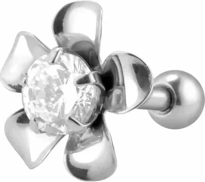 Produktbild von Ohrpiercing Chirurgenstahl Ohrpiercing BLUME + KRISTALL