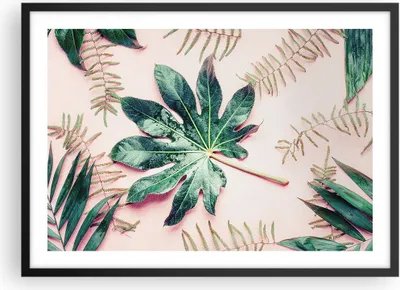 Produktbild von Gerahmtes Poster - Schwarzer Rahmen - Blatt Tropisch Palme - 70x50 cm - Wand Bild - Wanddeko - Wandbilder - Kunstposter - Wandposter - Bilderrahmen - Bilder - Kunstdruck - Wandbild - P2BAA70x50-4314