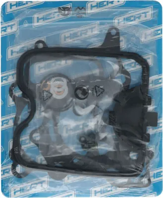Productafbeelding van Aandrijfketting voor Smeriglio-motor, geschikt voor HONDA SH i ABS 300