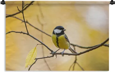 Produktbild von MuchoWow® Wandteppich Wandbehang Kohlmeise - Zweig - Vogel - Tiere 120x80 cm Tapisserie Dekoration Wandtuch - Wanddekorationen - Wandtücher