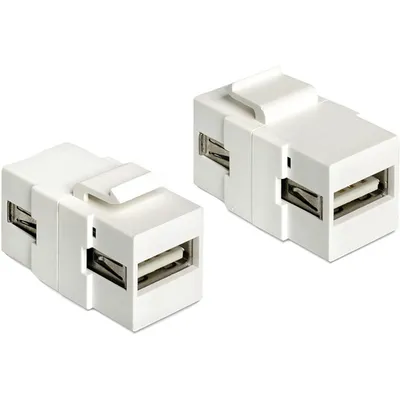Image de DELOCK Keystone USB A femelle