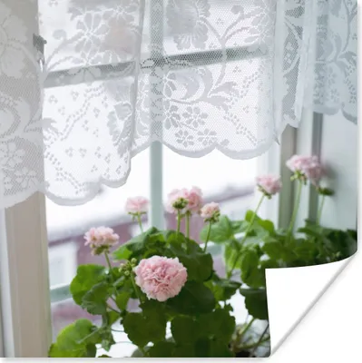 Produktbild von MuchoWow® Poster Geranienstrauß auf der Fensterbank 50x50 cm - Wohnzimmerdekoration