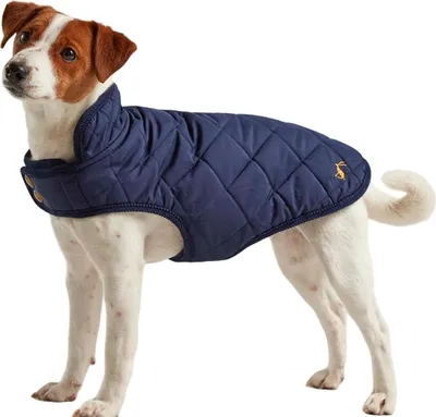 Immagine prodotto di Joules - Cappotto per cani, trapuntato BZ4712 (L) (blu navy)