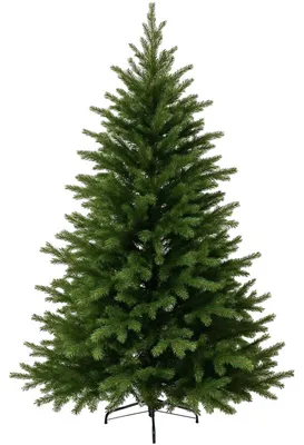 Immagine prodotto di Albero di Natale NORDMANN 180 in polietilene verde 127x180 cm