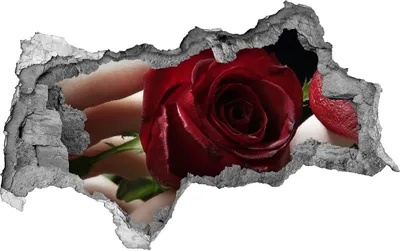 Produktbild von Selbstklebender Loch-3D-Aufkleber 95x73 cm Frau mit Rosen