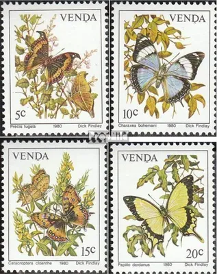 Produktbild von Briefmarken Südafrika - Venda 1980 Mi 34-37 (kompl.Ausg.) FDC Schmetterlinge