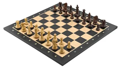 Produktbild von Exklusives Turnier-Schachset: Staunton Professional Palisander-Figuren 7,8 cm & Italfama Ebenholz-Ahorn Brett 48x48 cm