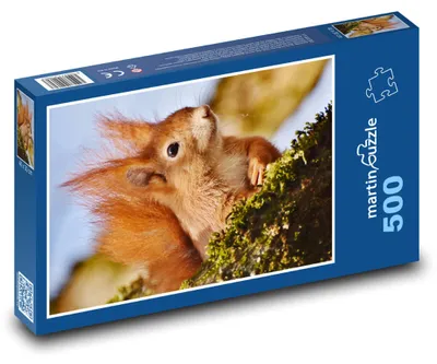 Obrázek produktu pro martinpuzzle - Puzzle 500 - Veverka