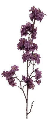 Immagine prodotto di Clayre & Eef Fiore artificiale 10x7x98 cm Viola Plastica
