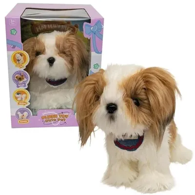 Produktbild von Shih Tzu-Welpe - Askato