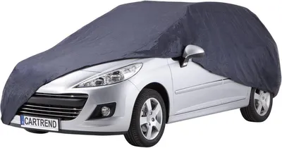 Immagine prodotto di CARTREND copertura per veicoli 70335 493cm 209cm 152cm
