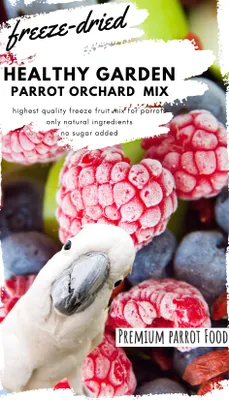 Produktbild von Premium Papageienfutter - Gesunde Gartenfrüchte 40g - Nahrhafte Trockenfrüchte für alle Papageien