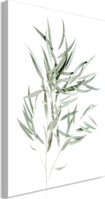 Produktbild von Italienischer Leinwand Leinwandbild - Nicholia Eucalyptus (1 Part) Vertical 20x30 cm Blätter b-B-0648-b-a
