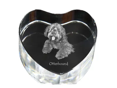 Produktbild von Otterhund, Otterhound - Hundebild im Kristall, Kristallherz, einzigartiger Bilderrahmen der Marke Art-Dog