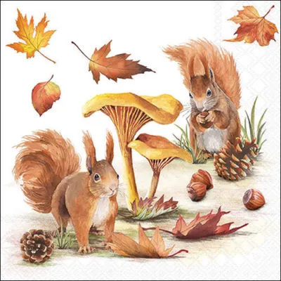 Produktbild von Ambiente Servietten 33cm Eichhörnchen Nüsse