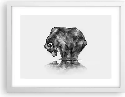Produktbild von Gerahmtes Poster - Weißer Rahmen - Bär Tier - 40x30 cm - Wand Bild - Wanddeko - Wandbilder - Kunstposter - Wandposter - Bilderrahmen - Bilder - Kunstdruck - Wanddekoration - Wandbild - P2WAA40x30-3921