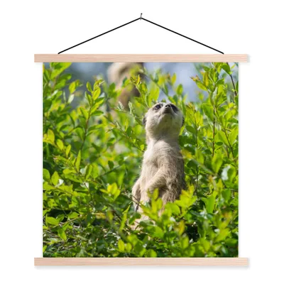Produktbild von MuchoWow® Textilposter Büsche - Erdmännchen - Tier 120x120 cm mit holzfarbenen Rahmen - Textil-Poster