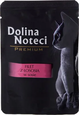 Produktbild von DOLINA NOTECI Premium Salmon fillet - nassfutter für Katzen - 85g