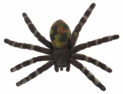 Produktbild von Spinne Brosche Spinnenbrosche Halloween Miniblings Vogelspinne Tarantel Horror