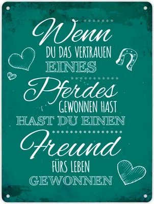 Produktbild von Metallschild XL mit Spruch: Wenn du das Vertrauen eines ... Schild Blechschild
