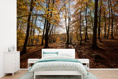 Produktbild von MuchoWow® Fototapete für Wohnzimmer oder Schlafzimmer Wandtapete Vinyl Motivtapete Herbstfarben in den Wäldern des Nationalparks Söderåsen in Schweden - 450x300 cm - Gemusterte