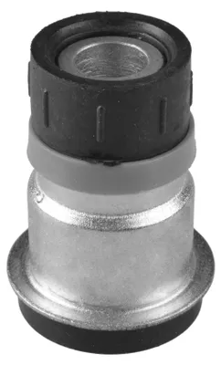 Produktbild von TEDGUM Lagerung Achsträger 00462382 Hinten Vorne für RENAULT Clio III Schrägheck (BR0/1, CR0/1) 17mm 0,316kg