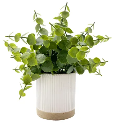 Künstliche Eukalyptuspflanzen, 2er-Set, Keramiktopf, 22,86 cm