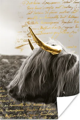 Produktbild von MuchoWow® Poster Schottisches Hochlandrind - Gold - Text 120x180 cm - Kunstposter