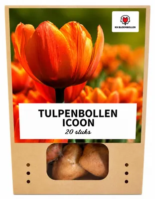 Productafbeelding van Tulpenbollen 'Iconic' | 20 Stuks | Oranje Dubbelbloemige Tulp - 30-50cm - Ø5cm - Bloembol - Tuinplant