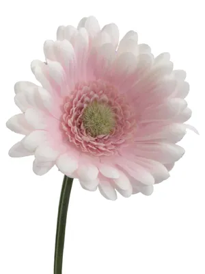 Produktbild von Kunstblume GERBERA 50cm ROSA