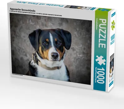 Produktbild von CALVENDO Puzzle Appenzeller Sennenhündin | 1000 Teile Lege-Größe 64x48cm Foto-Puzzle für glückliche Stunden
