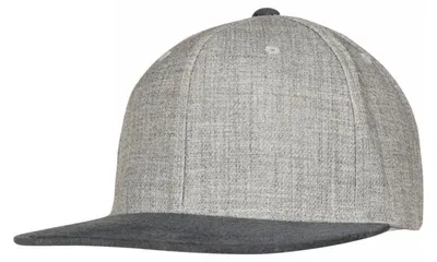 Produktbild von Flexfit - Baseball-Mütze Snapback TN1650 (Einheitsgröße) (Grau)
