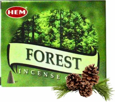 Image de Bâtonnets d'encens HEM, parfum de forêt, 10 pièces