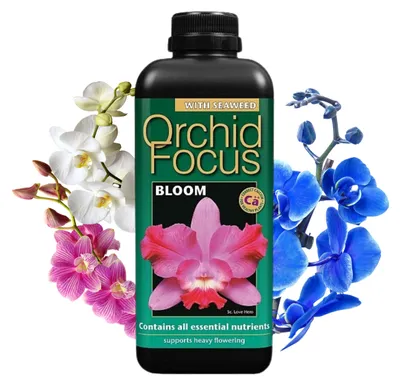 Produktbild von Growth Technology - Orchideendünger 1000 ml - Orchid Focus Bloom - Effektiv - Flüssigdünger