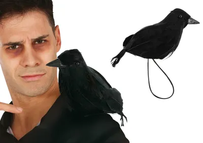 Productafbeelding van Raaf met elastiek aan de schouder (15 cm) - Halloween- en dierthemafeesten - Zwart - Zwarte