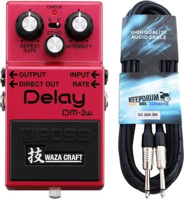 Produktbild von Boss DM-2w Delay Waza Edition mit Kabel