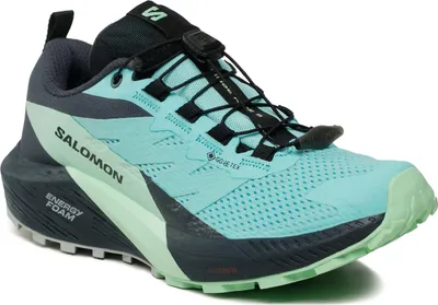 Image de Chaussures de running Salomon L47216000 pour Femme