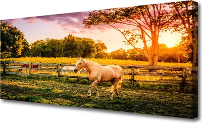 Produktbild von Tulup Leinwand-Bilder 125x50 Wandbild Canvas Kunstdruck Pferd Wiese Tiere
