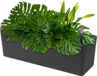 Image de CPROSP 40cm Pot de fleurs auto-arrosé Rectangulaire avec indicateurs de niveau d'eau