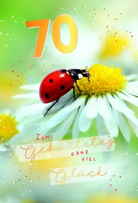Produktbild von 70. Geburtstag Karte mit Briefumschlag Marienkäfer auf Blüte, mit Goldfolie