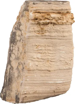 Image de sERA Rock Desert S/M 0,6 - 1,4 kg