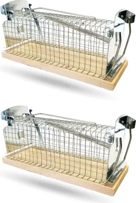 Image de Piège à souris 15x6cm ( set de 2 ) Piège vivant