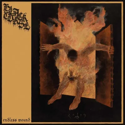 Zdjęcie produktu dla Niekończąca się rana (Digipak)