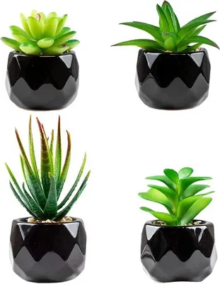 Productafbeelding van Unyqoos® Kunstsucculenten, set van 4 – groene mini-kunstplanten in zwarte keramische potten, gemakkelijk te onderhouden decoratie voor woonkamer, badkamer en kantoor, geschikt voor binnen- en buitengebruik