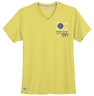 Produktbild von Redfield modisches V-Neck T-Shirt Übergröße gelb