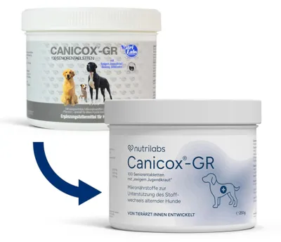 Produktbild von NutriLabs CANICOX GR Kautabletten für Hunde 100 Stück - Mit Glucosamin, Chondroitin, Weißdorn & Ginseng - Unterstützt Gelenke, Herz, Leber, Nerven & Immunsystem - Nahrungsergänzung für ältere Hunde